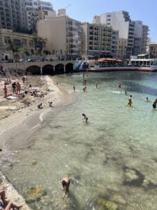 IMG_4561E