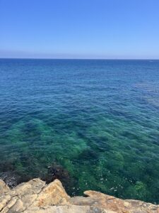 IMG_4610E