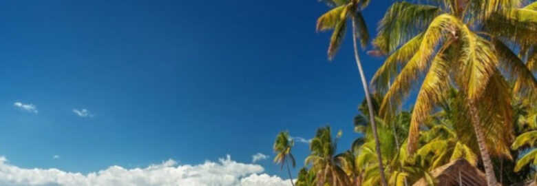 Investing In Paradise