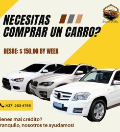 DAVID AUTO LATINO